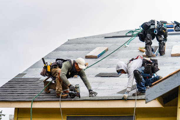 Professional Storm Damage Roof Repair technician working in Milton, MA
